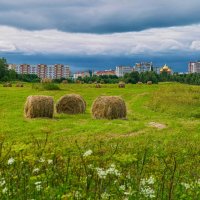 Летние поля в окрестностях Ухты :: Николай Зиновьев
