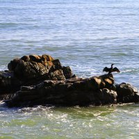 На острове :: Геннадий Валеев