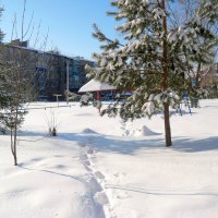 Мороз и солнышко слепит... :: Андрей Заломленков