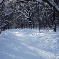 Февральский парк :: Freddy 97