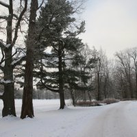 Парк Александрия :: Наталья Герасимова