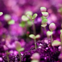 Время пришло :: Павел Трунцев