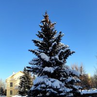 Февраль. :: Любимова Ольга 