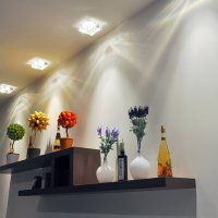 Предметная съемка :: Евгений Воронов