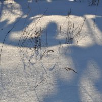 Снежинки и травинки :: Татьяна Машошина