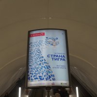 едем в Эрарту! :: zavitok *