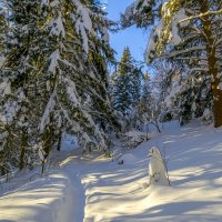 Зимушка-зима :: Сергей Цветков