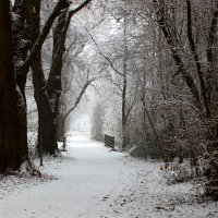 В заснеженность :: Юрий. Шмаков
