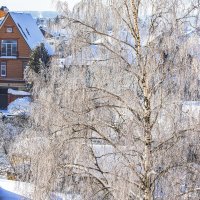 Изморось, после тумана. :: Петр Беляков