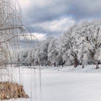 Этюд в белых тонах :: Ravile 