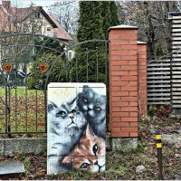 В городе котов и кошек. :: Валерия Комова