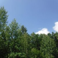 Природа :: Елена Сухорученкова