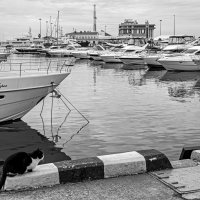 Портовые будни :: Eugene *