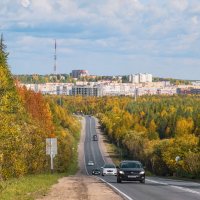 Ухта на горизонте в обрамлении  осенней тайги :: Николай Зиновьев