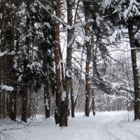 Идём дышать кислородом! :: Люба 