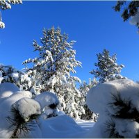 Снежный февраль :: Leonid Rutov