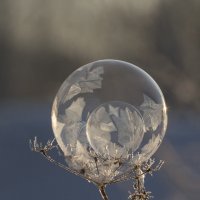 Двойня :: Андрей Пристяжнюк