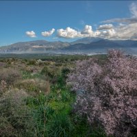 Турецкий пейзаж :: **** vedin