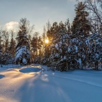 Январский вечер 7 :: Андрей Дворников
