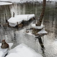 *** :: Александр Русинов