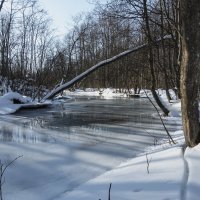 *** :: Александр Русинов