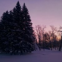 Рассвет :: Сапсан 