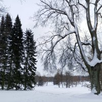 Зима :: Сапсан 