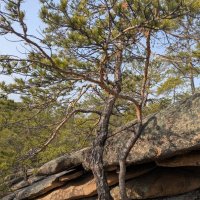 В горах Каркаралы :: Андрей Хлопонин