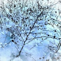 В парке Тондилоо :: Veera V