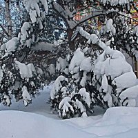 Февраль...В снежно-морозном царстве! :: Владимир 