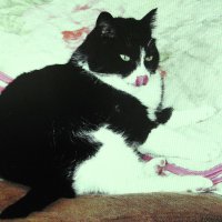 После обеда :: Людмила Смородинская После обеда :: Людмила Смородинская