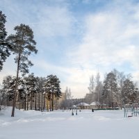 Среда обитания :: Сергей Цветков