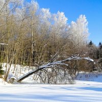 Зимний пейзаж. :: Милешкин Владимир Алексеевич 