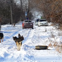 Друзья :: Юрий Гайворонскiий