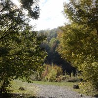 Природа Крыма :: Amazing Cosmea