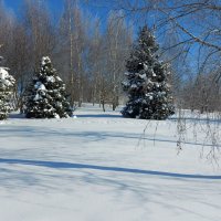 *** :: Владимир Безбородов