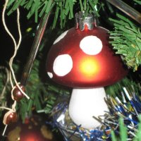 Мухомор на ёлке :: Дмитрий Никитин