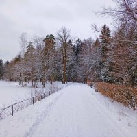 Зимняя прогулка :: Лия ☼