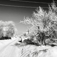 «Серебряная вуаль зимы» :: Арина Невская