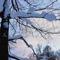 Красиво. :: Наталья Вязигина