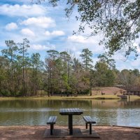 Парк Олден Бридж :: **** vedin