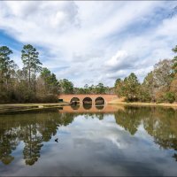 Парк Олден Бридж :: **** vedin