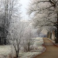 Морозный день :: Юрий. Шмаков