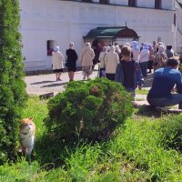 медовый Спас в монастыре :: Любовь 