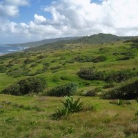 Кусочек острова Барбадос. :: unix (Илья Утропов)