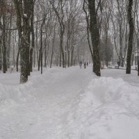 Парк, снегопад :: Татьяна Машошина