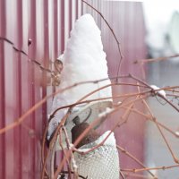 . :: Константин Сафронов