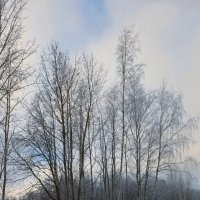 В парке :: Veera V