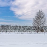 Можно и прогуляться, когда нет ветра и слабый мороз :: Игорь Сикорский