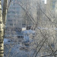 Серебряное утро! :: Anna-Sabina Anna-Sabina